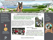 Tablet Screenshot of nokc.webstolica.ru
